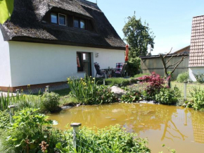 Lovely Holiday Home in Pepelow near Baltic Sea